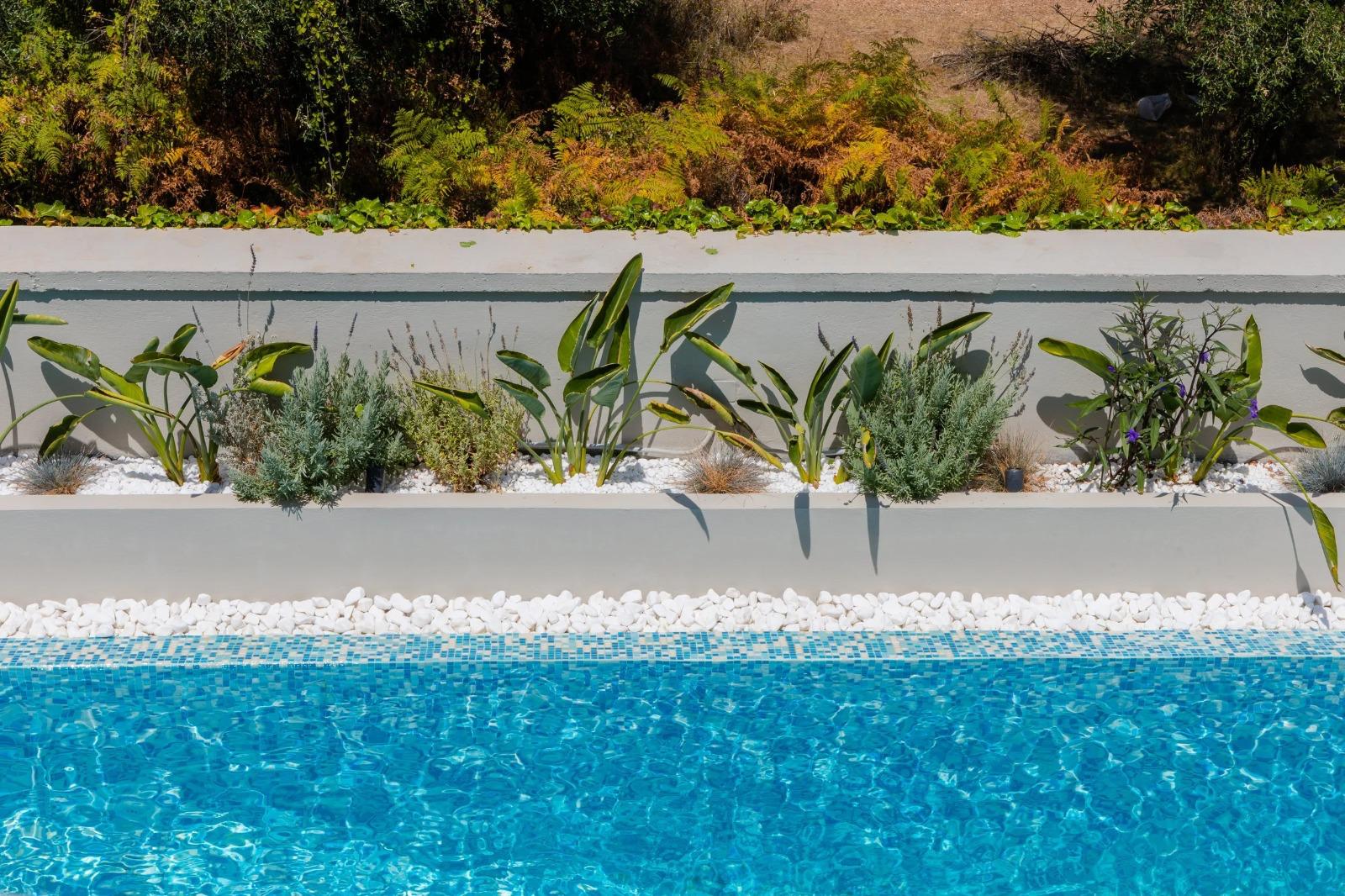 Pool detail
